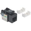 Intellinet-210416-modulo-Keystone