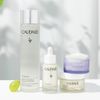 VINOPERFECT-CREMA-ILLUMINANTE-ANTI-MACCHIE-40-ML-2021