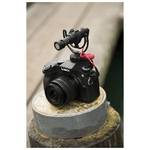 Rode-RØDE-VideoMicro-Nero-Microfono-per-fotocamera-digitale