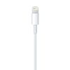Apple-Cavo-da-lightning-a-USB-2mt