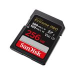 SanDisk-SDSDXEP-256G-GN4IN-memoria-flash-256-GB-SDXC-UHS-II-Classe-10--PRO-256GB-V60-UHS-II-SD-CARDS---280-100MB-S-V60-C