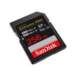 SanDisk-SDSDXEP-256G-GN4IN-memoria-flash-256-GB-SDXC-UHS-II-Classe-10--PRO-256GB-V60-UHS-II-SD-CARDS---280-100MB-S-V60-C