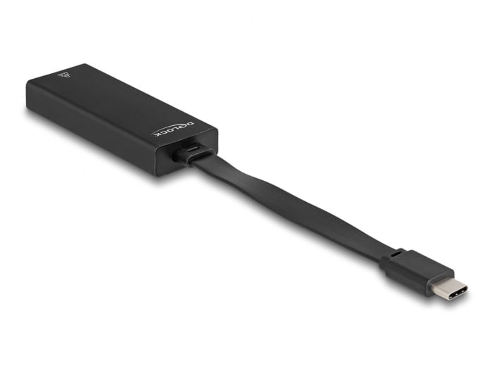 Delock-Adattatore-USB-Type-C-per-Gigabit-LAN-slim