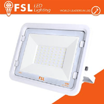 Proiettore per esterni Bianco 50W - IP65 115 4000K