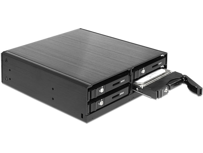 Delock Cornice rimovibile da 525" per 4 HDD/SSD SATA da 25".
