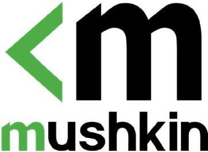 Mushkin Kit doppio SO-DIMM 64 GB DDR4-3200 2x 32 GB