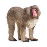 Schleich WILD LIFE 14871 action figure giocattolo (SCHLEICH Wild Life Japanese Macaque Toy Figure 3 to 8 Years Brown 148