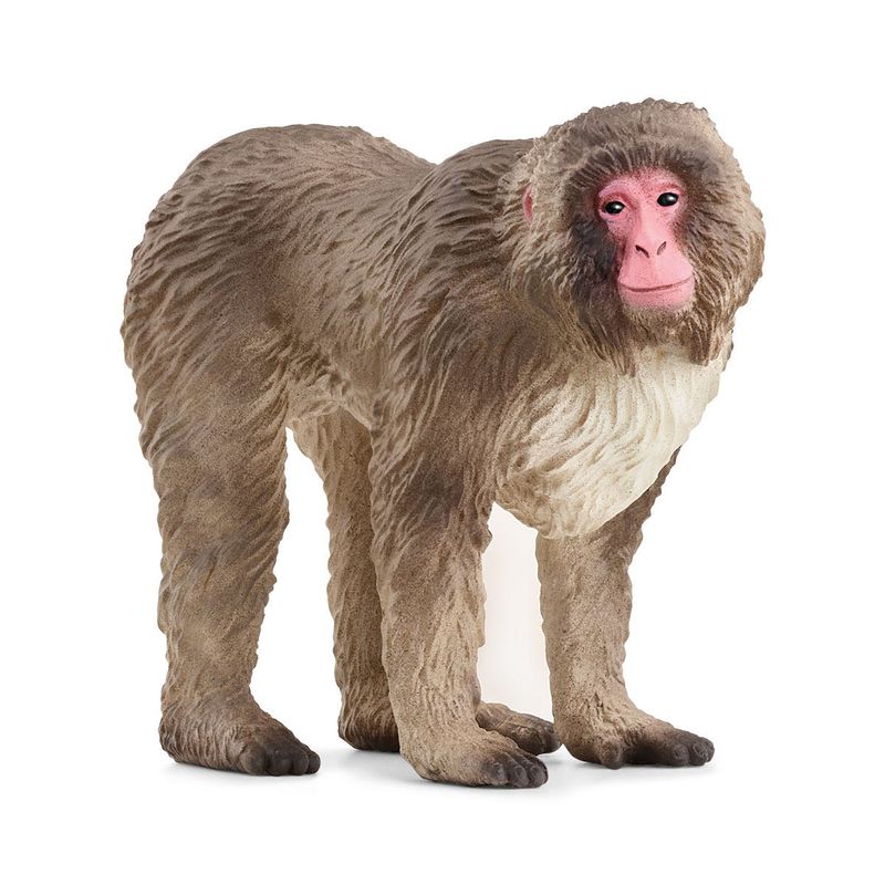 schleich-WILD-LIFE-14871-action-figure-giocattolo--SCHLEICH-Wild-Life-Japanese-Macaque-Toy-Figure-3-to-8-Years-Brown-148