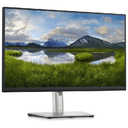 DELL-P-Series-Monitor-QHD-da-24----P2423D