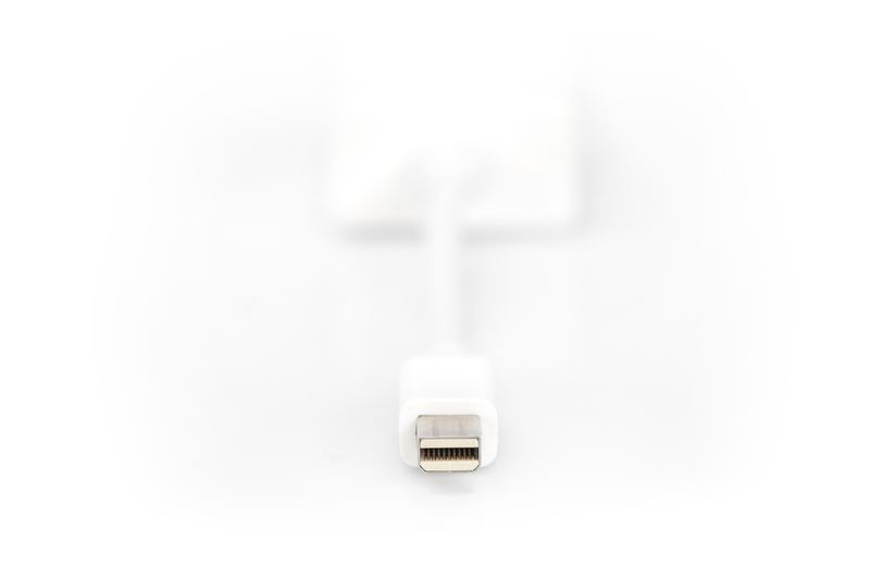 Cavo-adattatore-DisplayPort-mini-DP---HD15-M-F-0.1