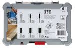 Bosch-2607017465-Set-di-punte-6-pz