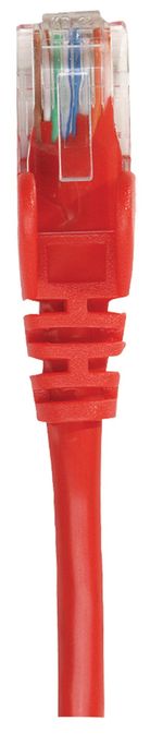 Intellinet-738859-cavo-di-rete-Rosso-025-m-Cat6-U-UTP--UTP-