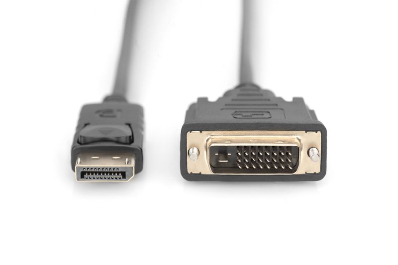 Cavo-adattatore-DisplayPort-DIGITUS-DisplayPort--DVI-D-30-m-nero