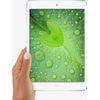 Apple-iPad-mini-2-3G-16-GB-201-cm--7.9---Wi-Fi-4--802.11n--iOS-Argento