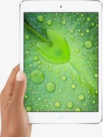 Apple-iPad-mini-2-3G-16-GB-201-cm--7.9---Wi-Fi-4--802.11n--iOS-Argento