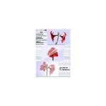 OLYMPIA - Trasparente - A6 (105 x 148 mm) 100 pz. pellicola di laminazione