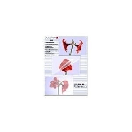 OLYMPIA---Trasparente---A6--105-x-148-mm--100-pz.-pellicola-di-laminazione