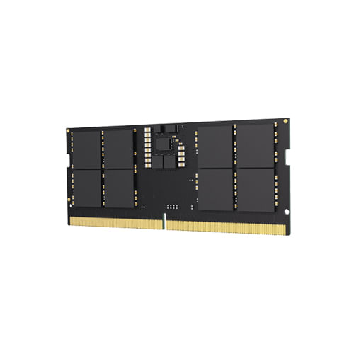 Modulo-di-memoria-RAM-Lexar-DDR5---16-GB---4800-Mhz---CL40---11-V---UDIMM---Dissipatore-di-calore