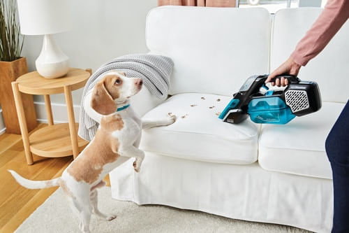 Black---Decker-spillbuster-aspirapolvere-senza-filo-Nero-Blu-Senza-sacchetto