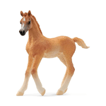 schleich-HORSE-CLUB-13984-action-figure-giocattolo--SCHLEICH-Horse-Club-Arab-Foal-Toy-Figure-5-to-12-Years-Brown-13984-