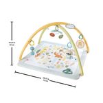 Fisher-Price-HRB15-palestra-per-bambino-e-tappeto-di-gioco-Tessuto-Plastica-Multicolore-Palestrina-a-tappeto-per-bambino