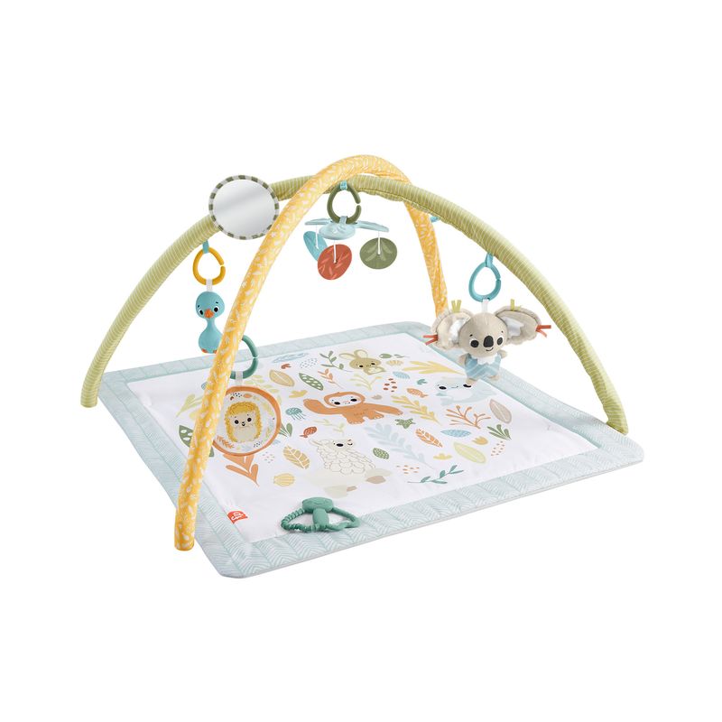 Fisher-Price-HRB15-palestra-per-bambino-e-tappeto-di-gioco-Tessuto-Plastica-Multicolore-Palestrina-a-tappeto-per-bambino