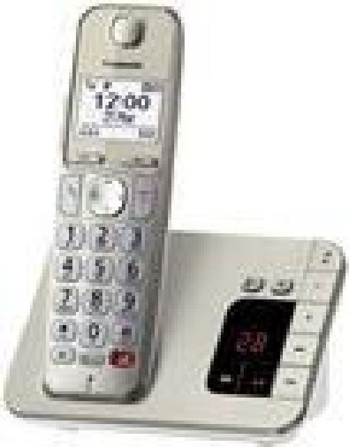 Telefono-cordless-Panasonic-a-tasti-grandi-con-AB-KX-TGE260GN---champagne