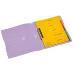 Raccoglitore-ad-anelli-Herlitz-a-2-anelli-DIN-A4-38-cm-viola-trasparente