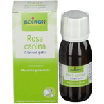 Rosa Canina MG 1DH 60mL