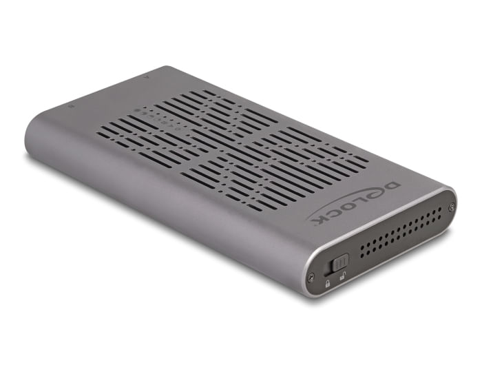 Delock-Custodia-esterna-USB-20-Gbps-per-2-SSD-M.2-NVMe-PCIe-con-presa-USB-Type-C-e-funzione-clone