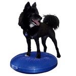 FitPAWS Disco per l'Allenamento dell'Equilibrio per Cani 56 cm Blu