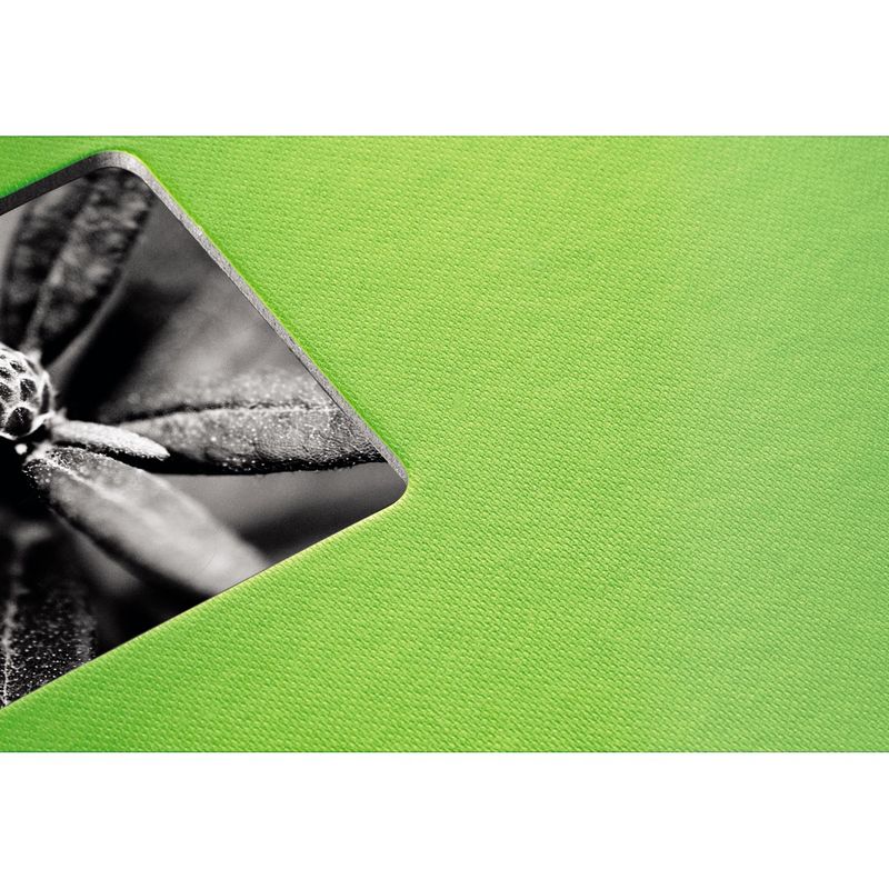 Hama-Fine-Art-album-fotografico-e-portalistino-Verde-300-fogli-10-x-15-cm