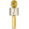 Xtreme-Hollywood-Oro-Argento-Microfono-per-karaoke