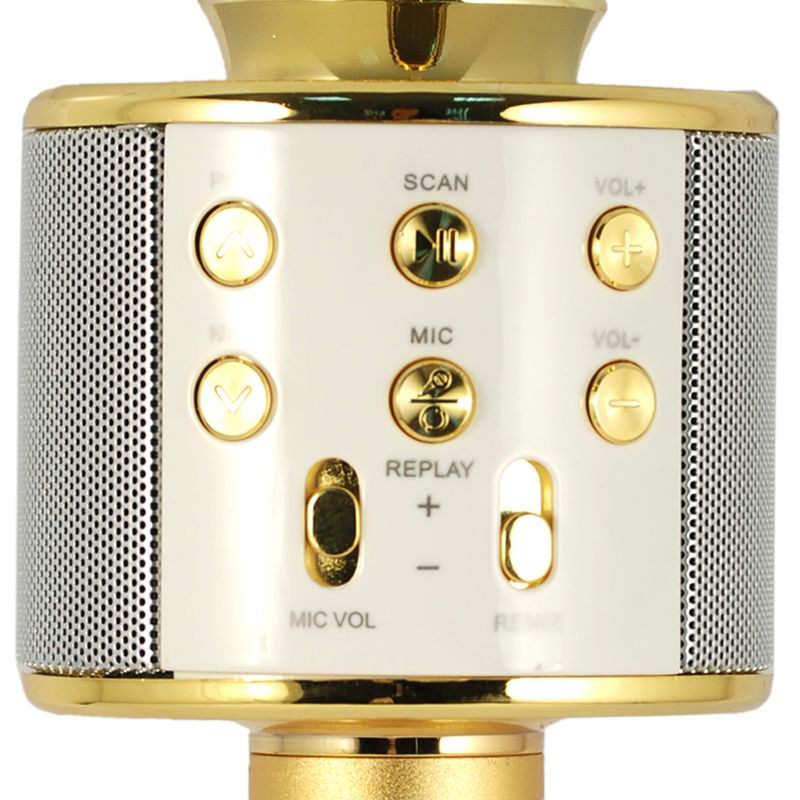 Xtreme-Hollywood-Oro-Argento-Microfono-per-karaoke