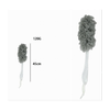 img-1914d43e-6e45-49b9-bb1a-4071404de6d8.png