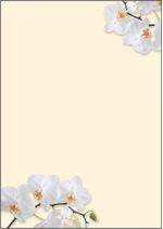 Carta-da-lettere-SIGEL-con-motivi-White-Orchid-A4-DIN-A4-90-g-m