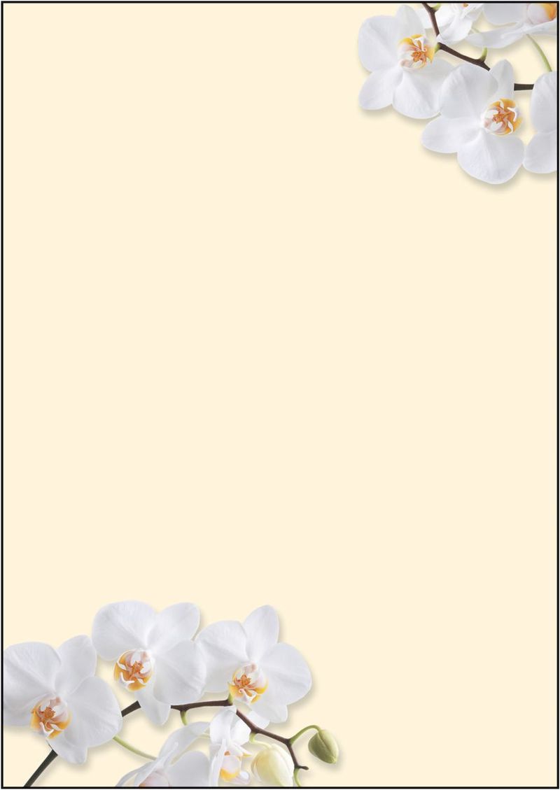 Carta-da-lettere-SIGEL-con-motivi-White-Orchid-A4-DIN-A4-90-g-m