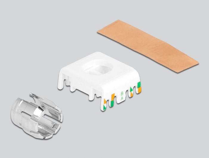 Delock-Modulo-Keystone-presa-RJ45-su-LSA-Cat.6A-schermata-senza-attrezzi