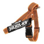 Julius-K9 Pettorina per cani IDC Color e Gray belt harness Tg. Mini-mini e Mini S - Tg. Mini (Circonferenza 49-67 cm Peso 7-15 Kg) Arancione