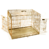 img-3620e457-fd05-4c22-b04f-c110595e2c6b.png