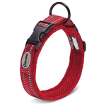 Record Collare per cani in nylon con dettagli catarifrangenti Ande M - 2 cm-Circonferenza 40-45 cm Rosso