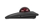 Kensington-Trackball-SlimBlade-Pro--SLIMBLADE-PRO-TRACKBALL----