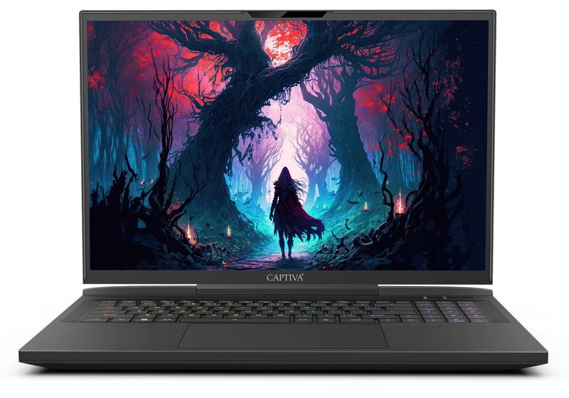 Captiva-Ultimate-Gaming-I81-608-173--WQXGA-i9-14900HX-64GB-2TBSSD-RTX4090-Win11