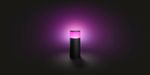 Philips-Hue-White-and-Color-ambiance-Calla-Paletto-Smart-Esterno-Nero-in-Alluminio-Estensione--alimentatore-non-incluso-