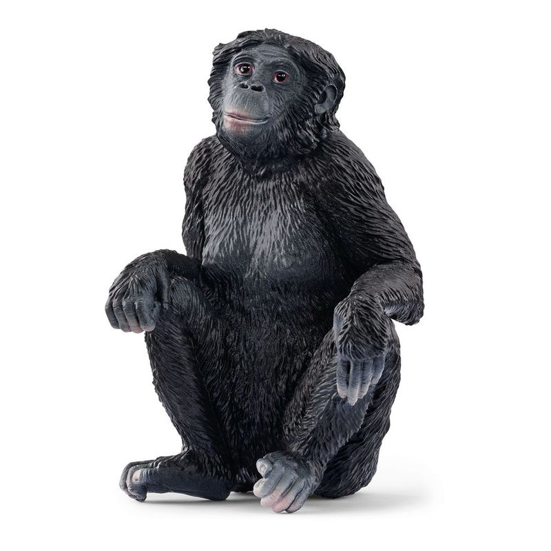 schleich-WILD-LIFE-14875-action-figure-giocattolo--SCHLEICH-Wild-Life-Bonobo-Female-Toy-Figure-3-to-8-Years-Black-14875-