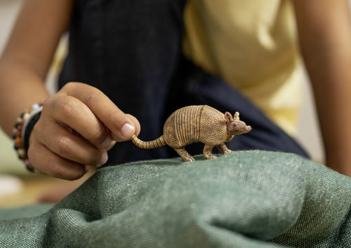 schleich-WILD-LIFE-14874-action-figure-giocattolo--SCHLEICH-Wild-Life-Armadillo-Toy-Figure-3-to-8-Years-Brown-14874-