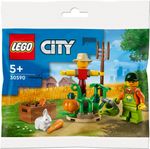 LEGO-City---Giardino-della-fattoria-con-spaventapasseri--30590-