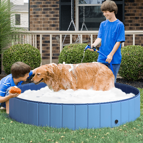 PawHut-Piscina-Vasca-da-Bagno-Portatile-Pieghevole-per-Cani-Animali-Domestici-in-PVC-Azzurro-Φ160-x-30cm