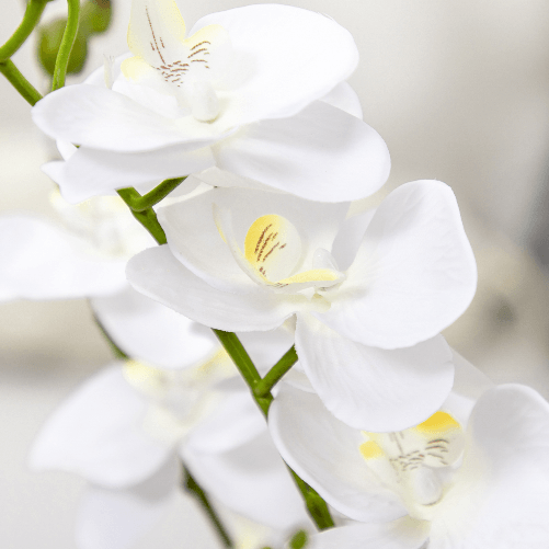 HOMCOM-Orchidea-Finta-in-Vaso-Alta-75cm-per-Interno-ed-Esterno-Bianco