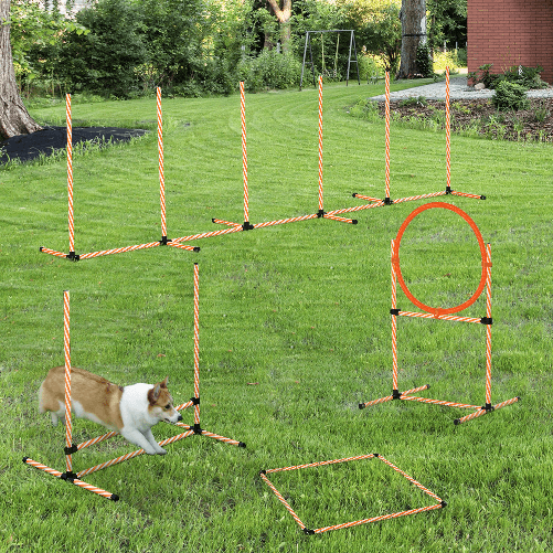 PawHut-Set-Agility-Dog-per-Addestramento-Cani-con-Slalom-Ostacoli-Regolabili-Fischietto-e-Sacca-di-Trasporto